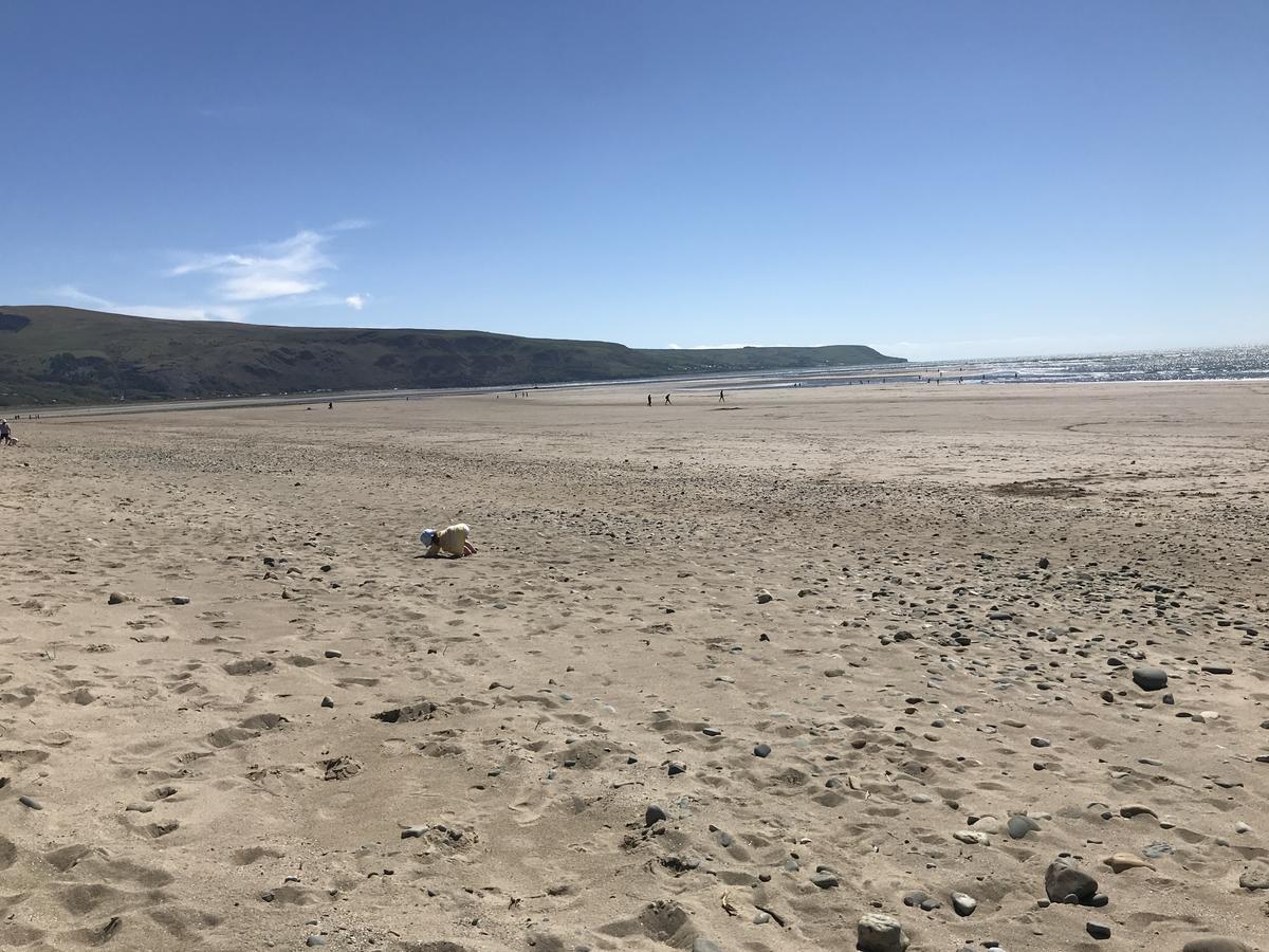The Sandpiper Barmouth Exterior photo